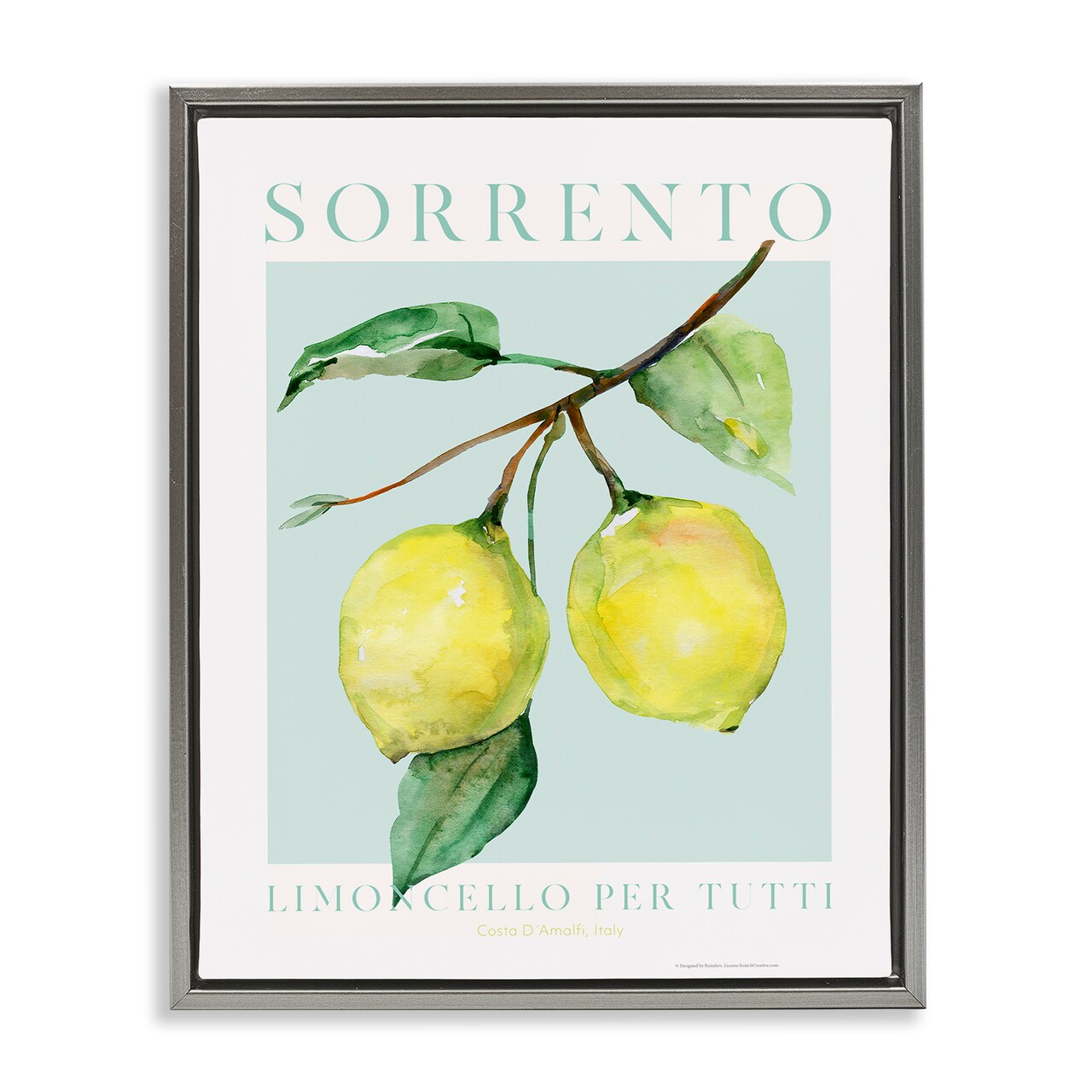Stupell Industries Sorrento Lemon Branch Framed Floater Canvas Wall Art Design by Reinders